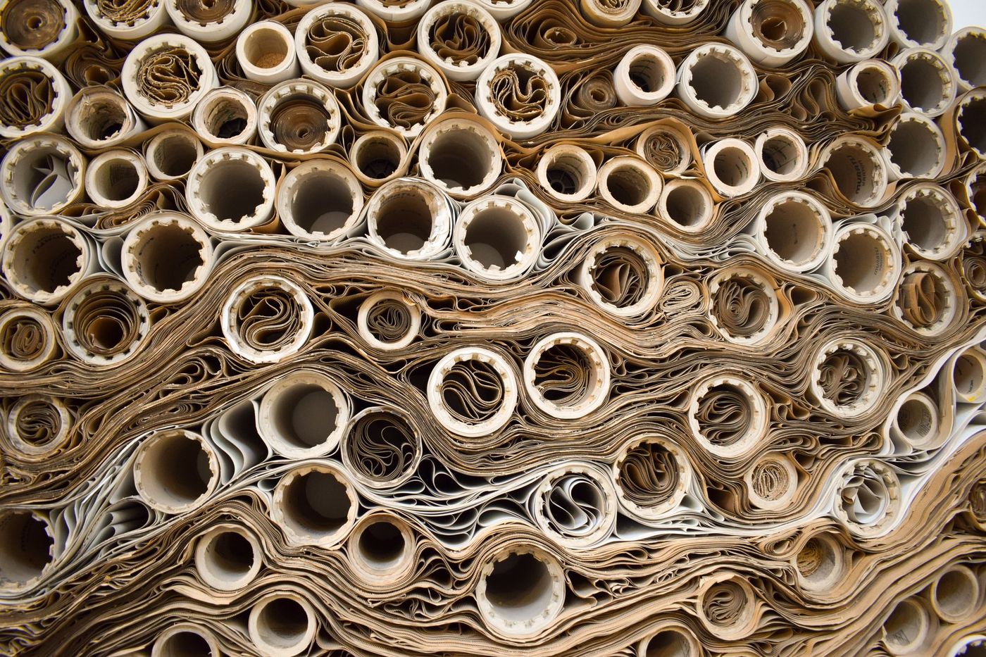 Paper rolls seen end-on in close-up